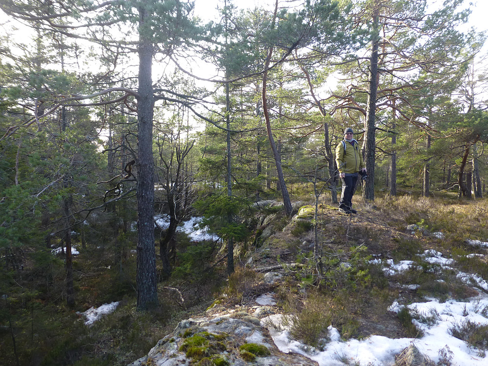 Toppen på Tegdalsåsen