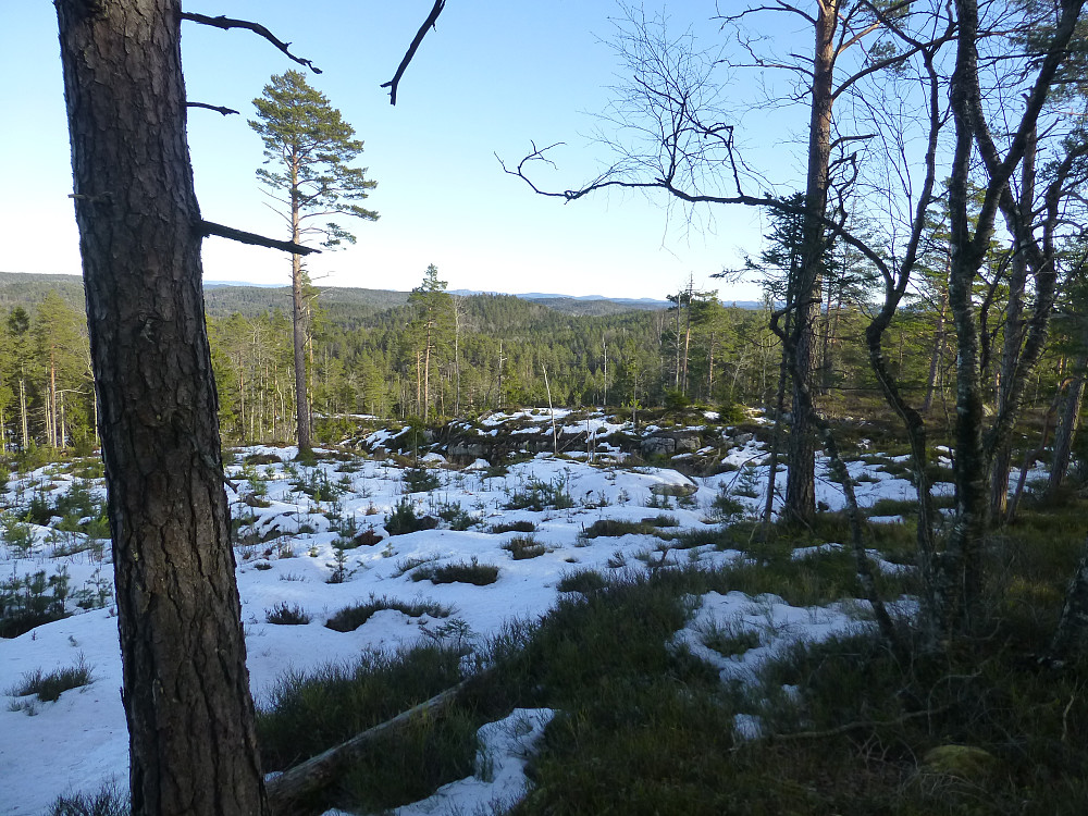 Litt utsikt der hogstflata begynner
