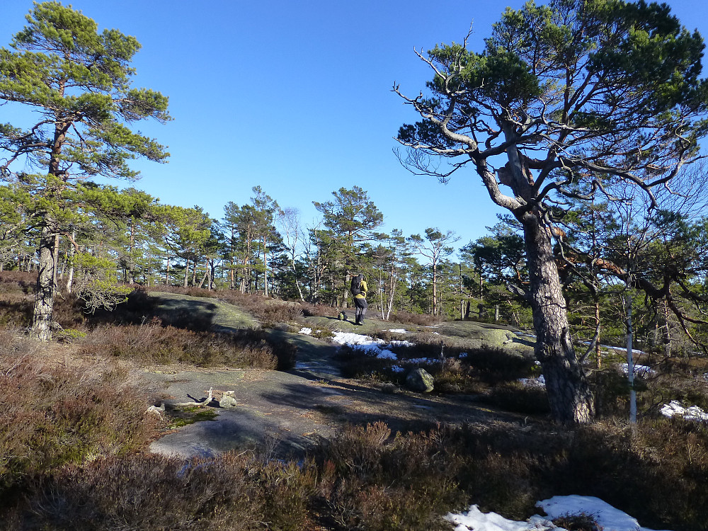 Flott svaområdet mot toppen