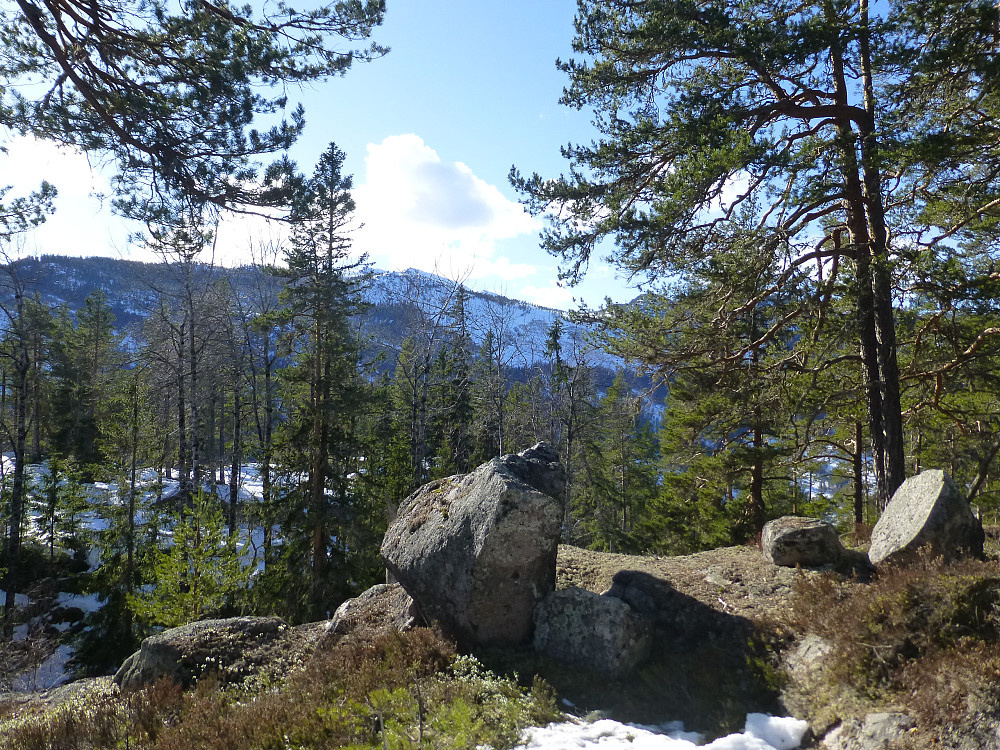Toppen av Grubbenuten utsikt mot Roholtfjell
