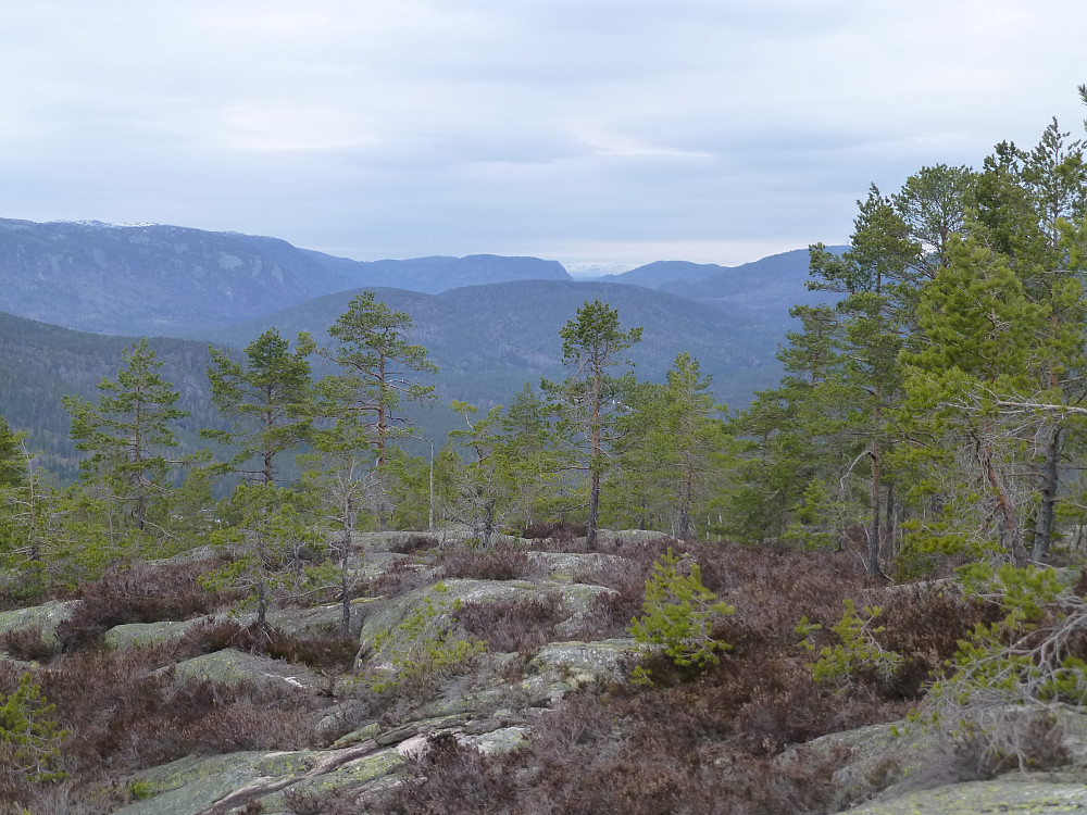 Utsikten fra første stedet med litt utsikt