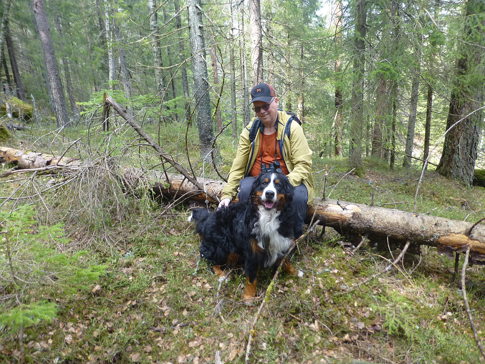 Lånehunden Bonnie var med oss på tur i dag