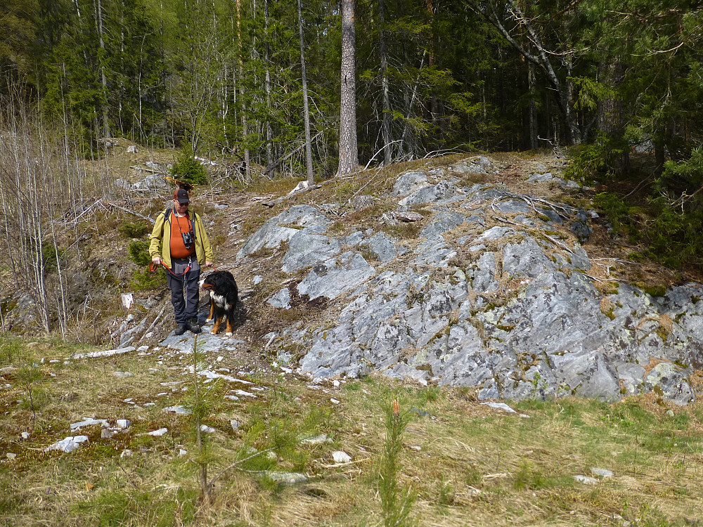 Her går stien inn i skogen fra den åpne flata