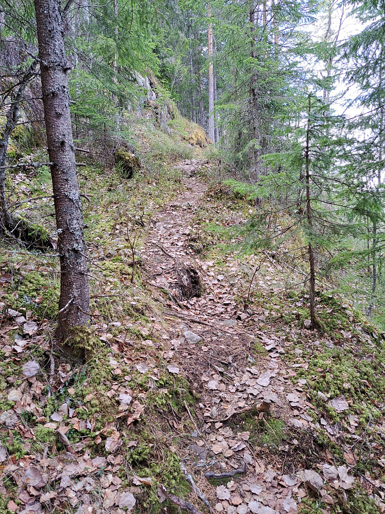 Stien siste delen opp til Striplefjell