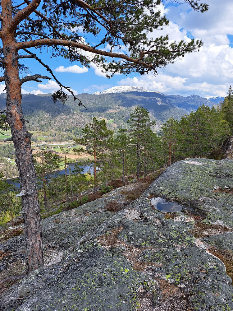 Striplefjell mot Brokefjell