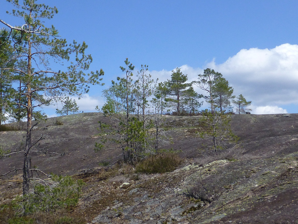 Toppområdet