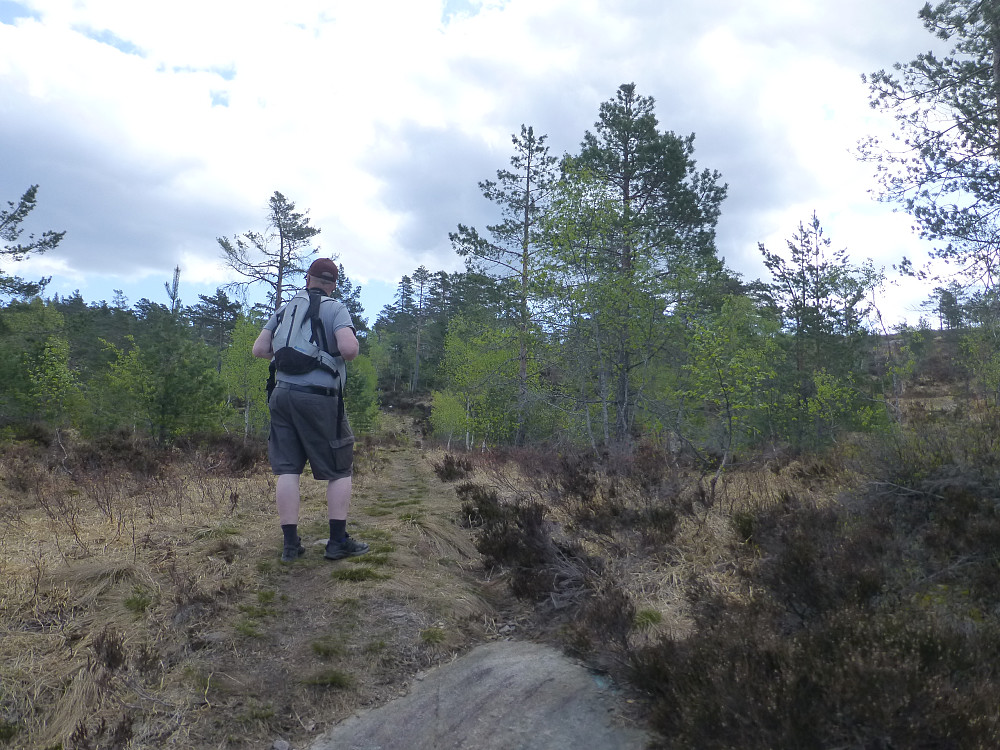Første og eneste oppstigning på gammel traktorveg