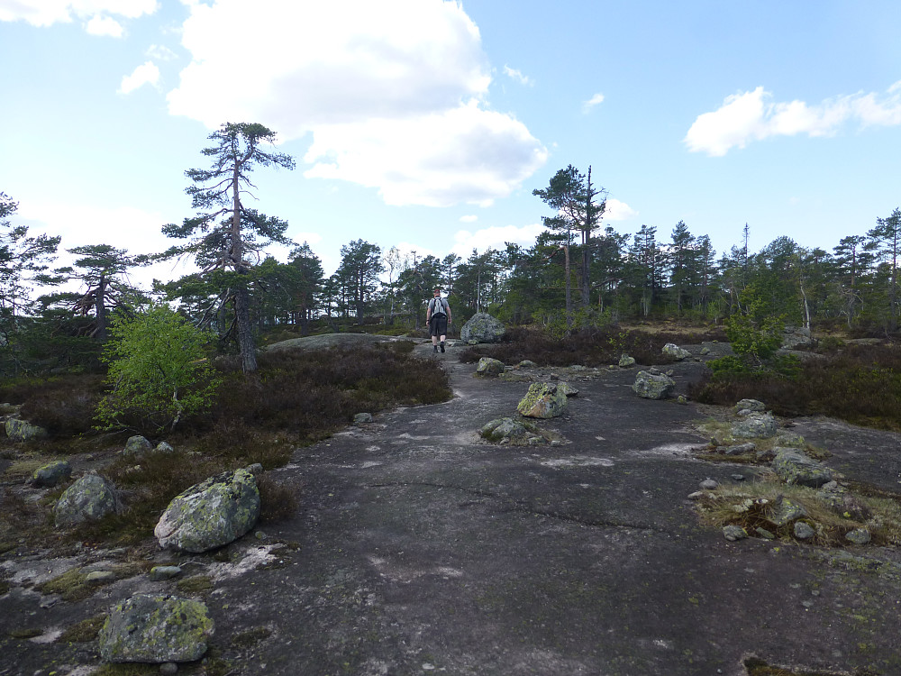 Så var vi oppe på ryggen og gikk stort sett på sva bortetter