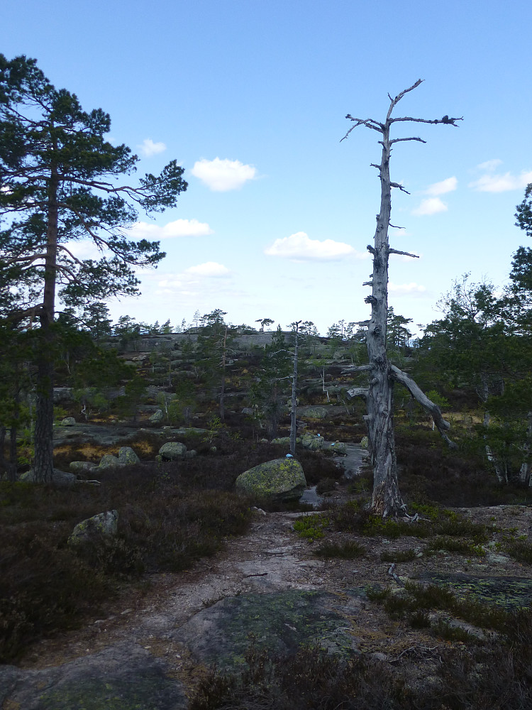 Toppområde i sikte