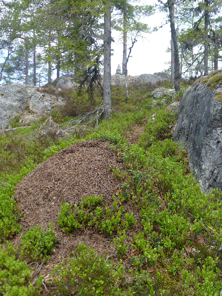 Toppvarden i sikte