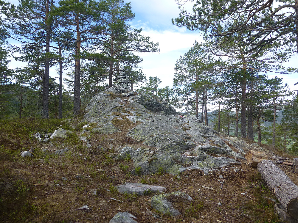 Toppvarden