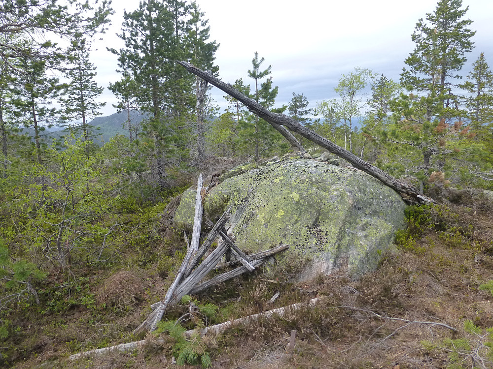 Toppen med et forfallent signal