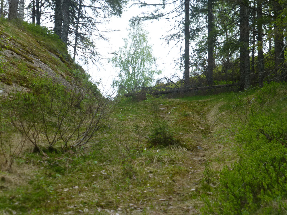 Traktorvegen inn til Smørbekk