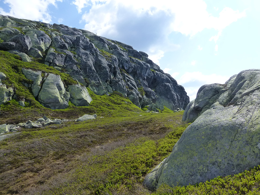 Skaret med greplyng