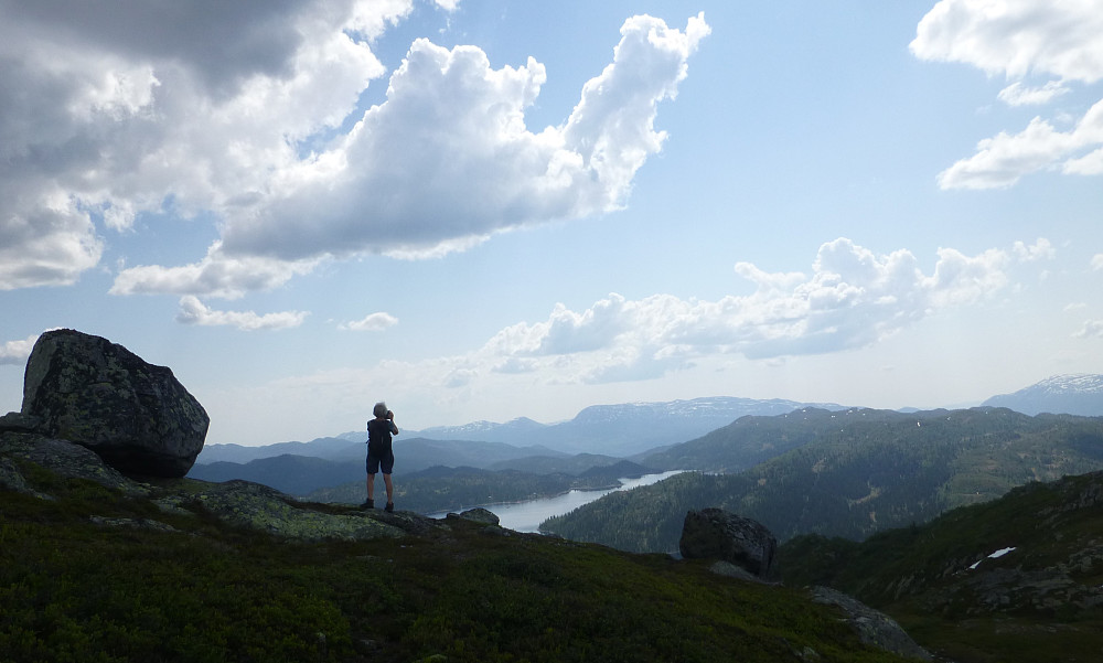 Utsikt mor Mælefjell og Skorve med Skjesvatn