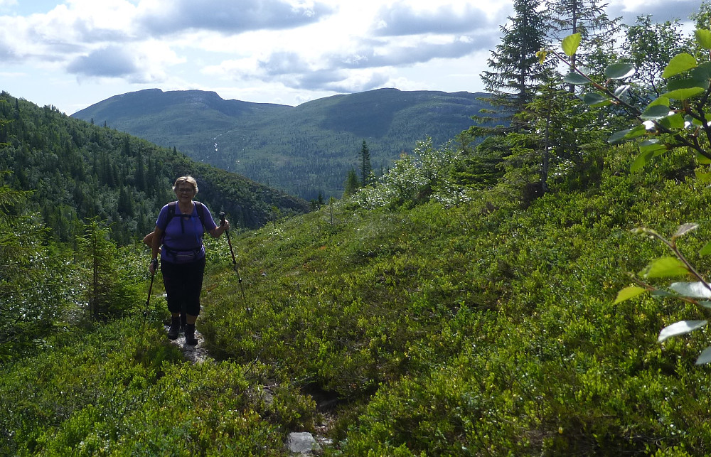 Aud på stien som går i lia oppover dalen. Lifjell dukker opp bak oss