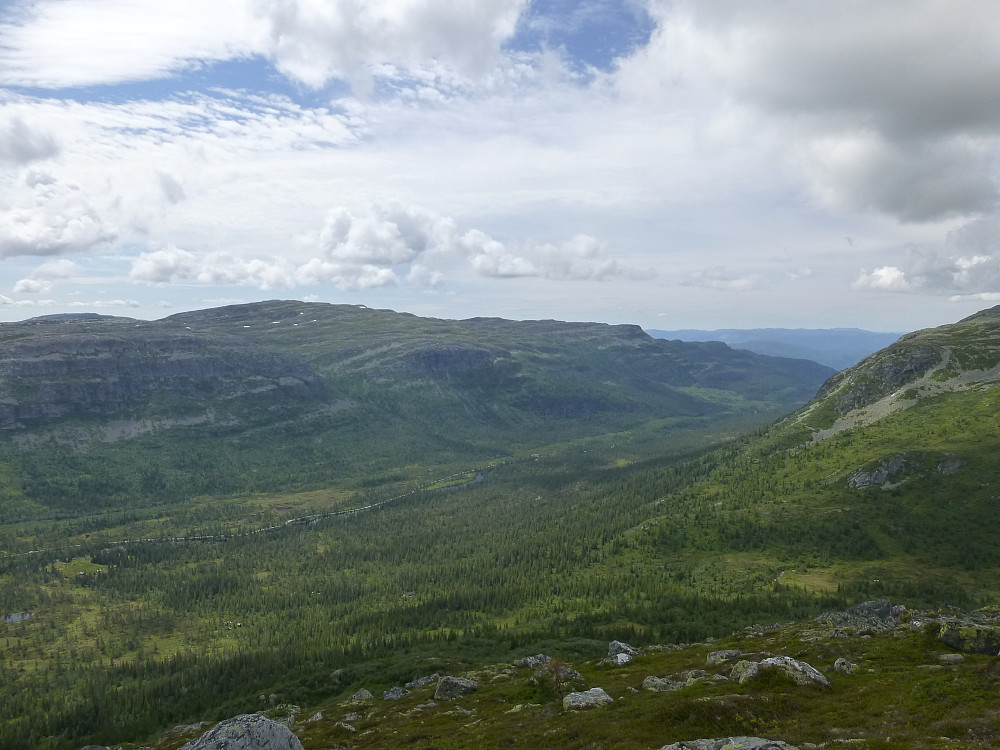 Røysdalsnuten, Lifjell høyeste topp utenom Mælefjell. Gunningsdalen nedenfor