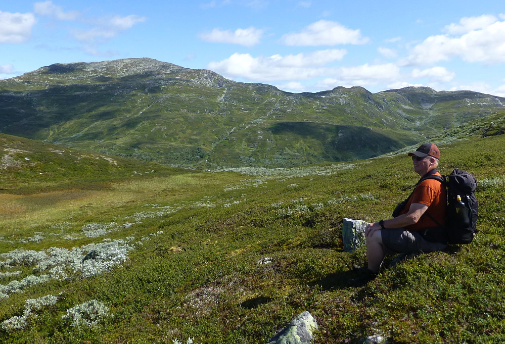 Brattefjell, Seljord høyeste fjell