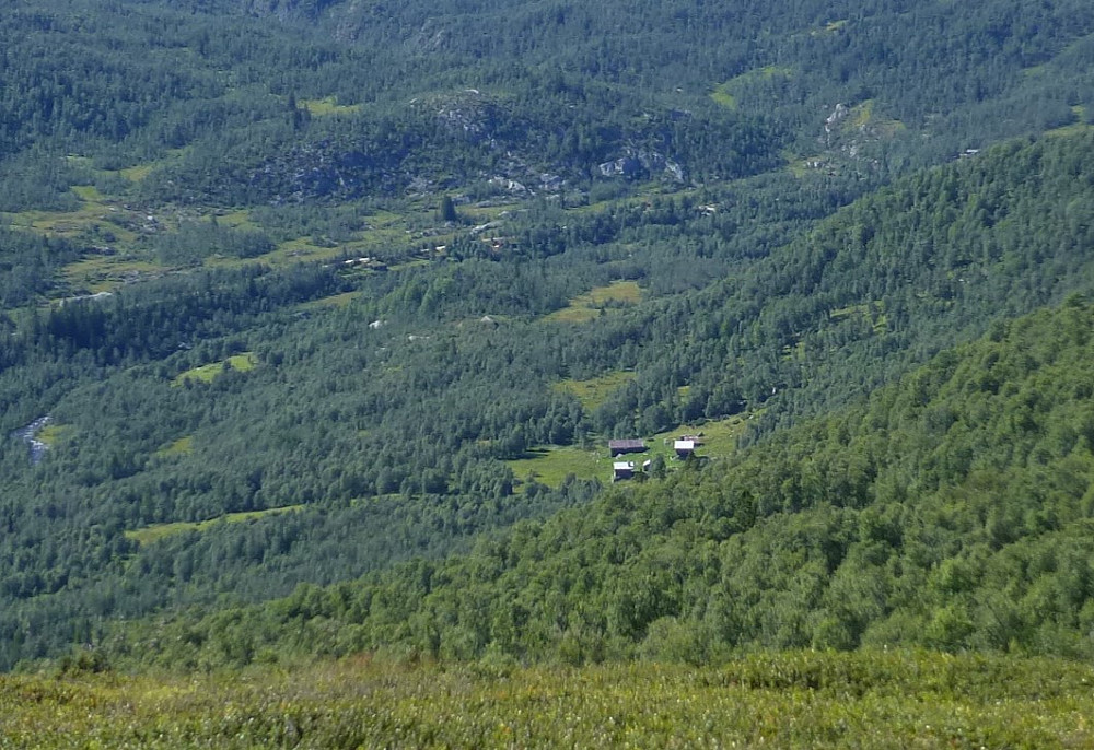 Kvammen. Her ble min 3-tippoldemor født, Ingebjørg Knutsdatter Kleivi, født Kvammen.