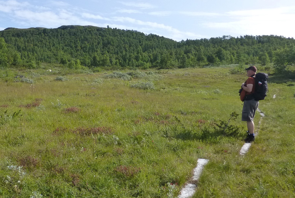 Finte klopper over myra i starten, måles ses i bakgrunn