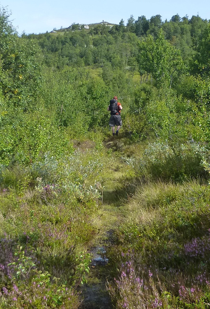 I rett linje mot varden på toppen