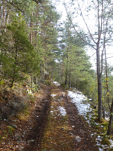 Traktorveg helt opp til Igletveit