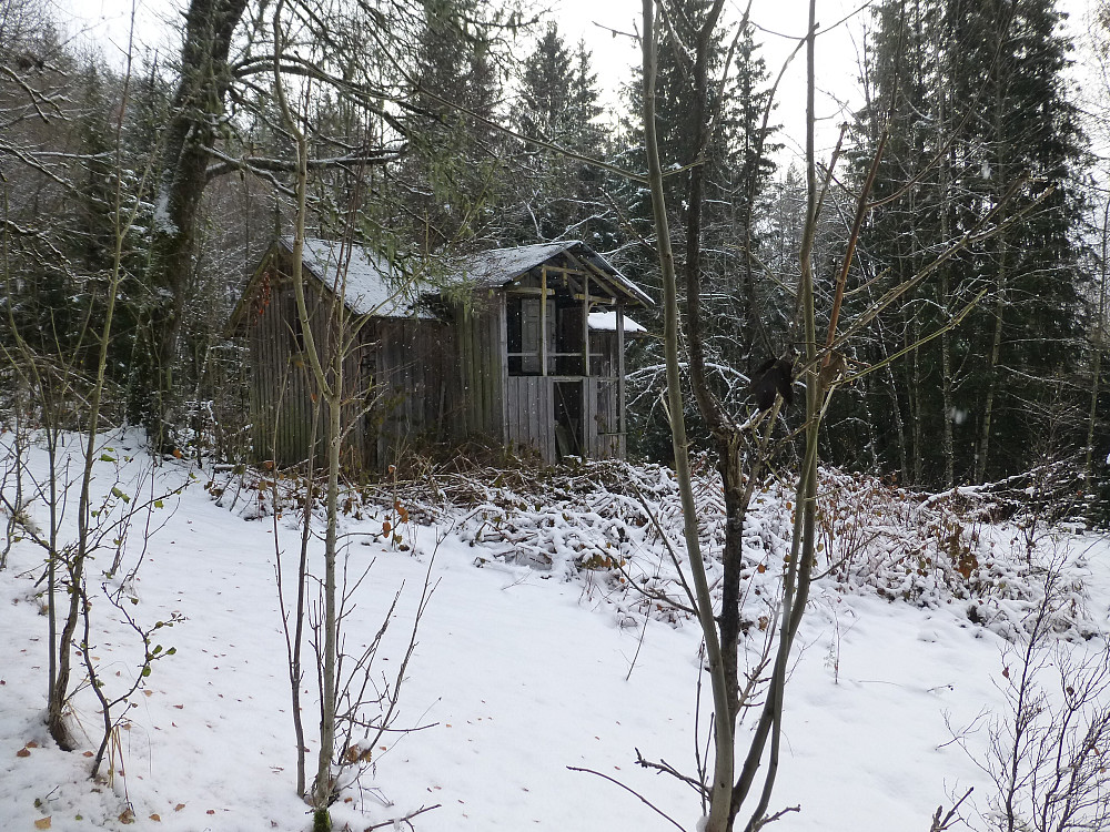 Kåsi, her tar skogen tilbake plassen