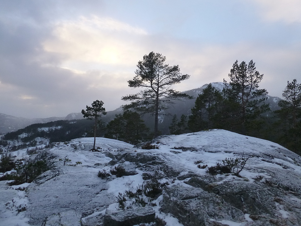 Utsikt mot Hattefjell