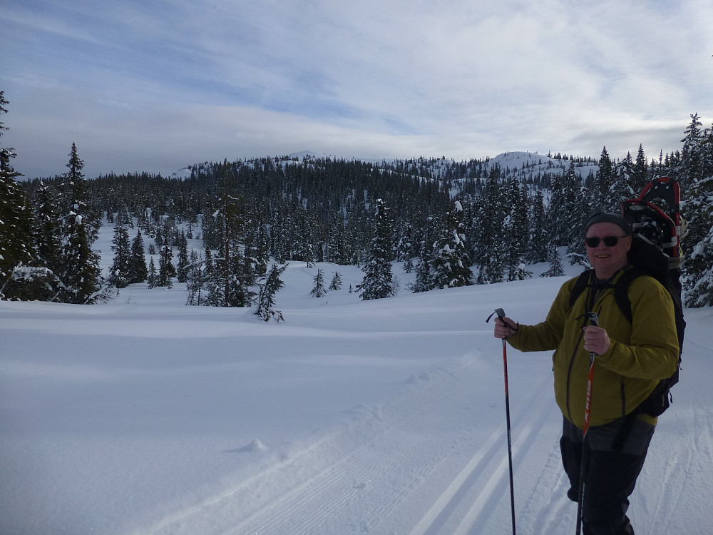  Lislefjell i midten til venstre