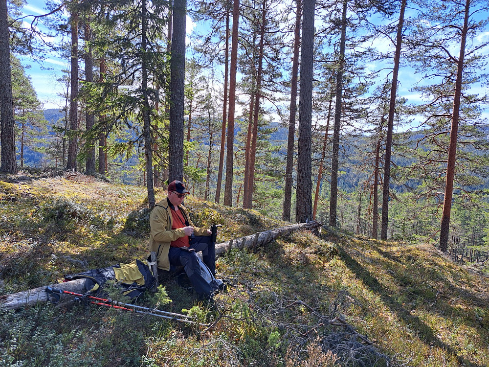 En rast på toppen. Vi satt på en stamme med trappetrinn som hadde falt. Lurer på hvem som har laget den?