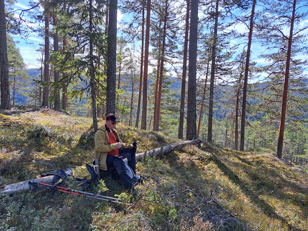  En rast på toppen. Vi satt på en stamme med trappetrinn som hadde falt. Lurer på hvem som har laget den?