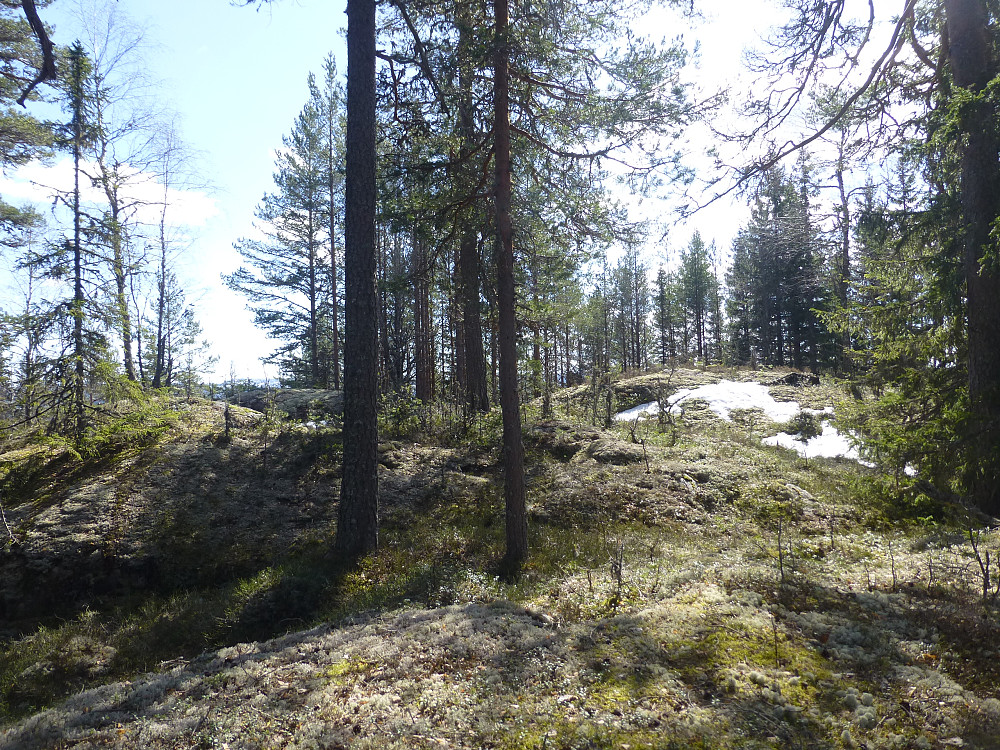 Toppområdet, med toppen til høyre