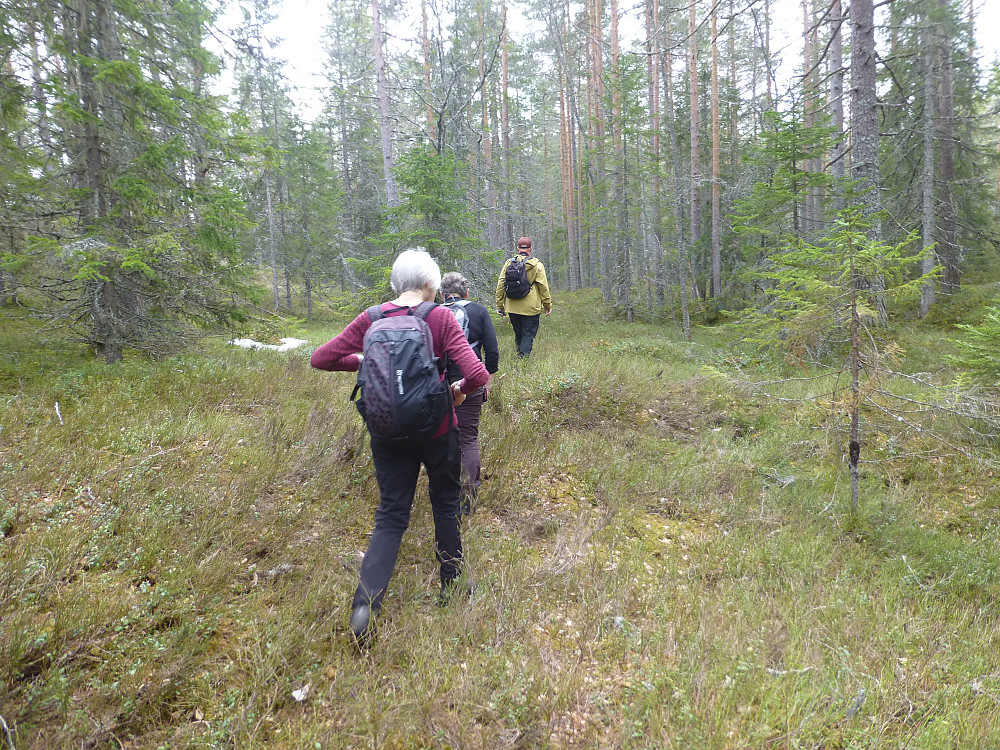 På vei innover mot trigpunktet