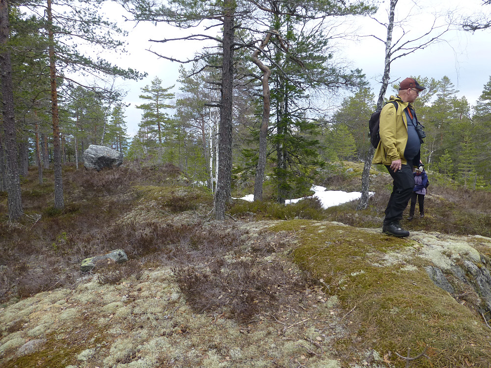 Toppunktet med steinen bak