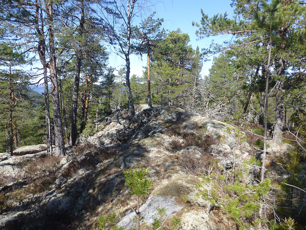 Toppområdet