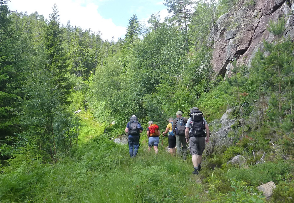 Kollingdalen