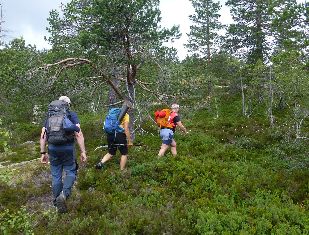 Vi går stiløst oppover mot Kollingkyrkja