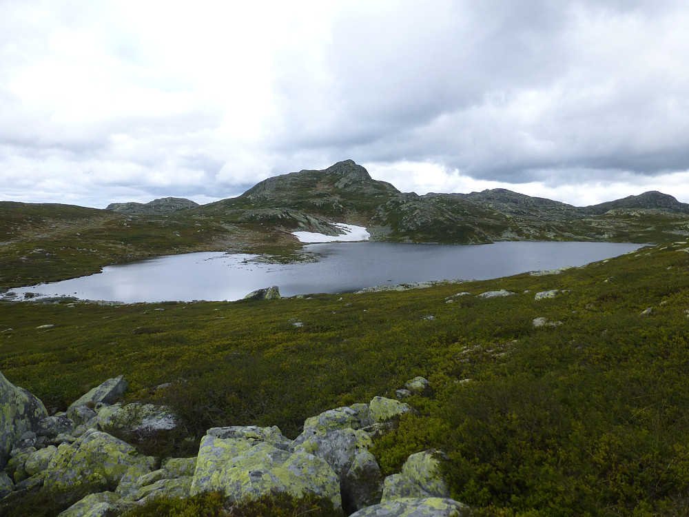 Utsikt mot Toreskyrkja