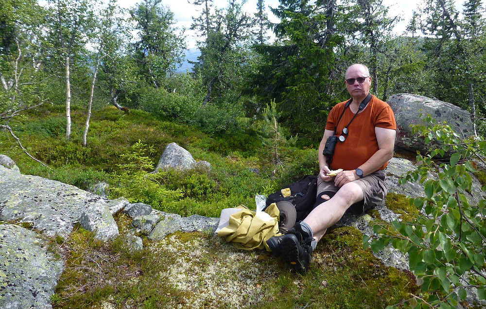 Pause på toppen