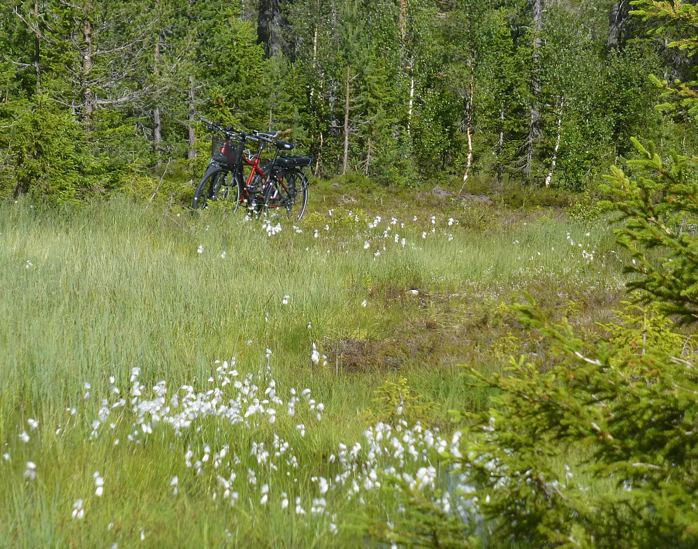 Sykkelparkeringen