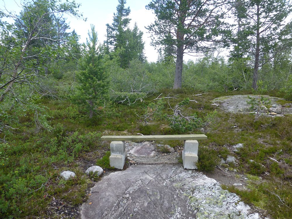 På Bispevegen var det to slike høye krakker ved stien. De likte jeg
