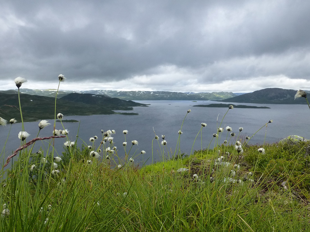  Songa og Hardangervidda sett fra toppen