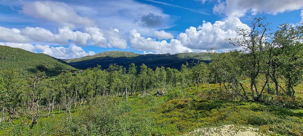 Bosnuten i sikte