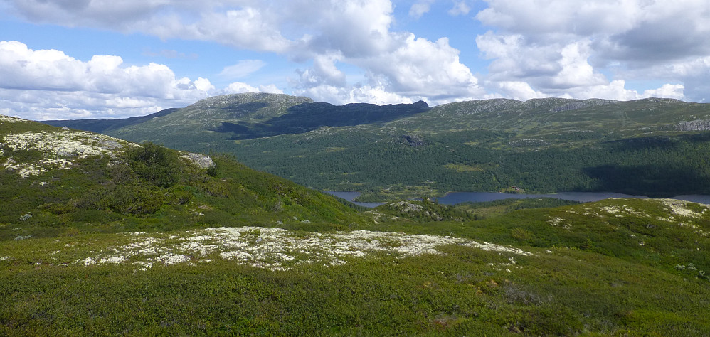 Utsikt mot Bosnuten