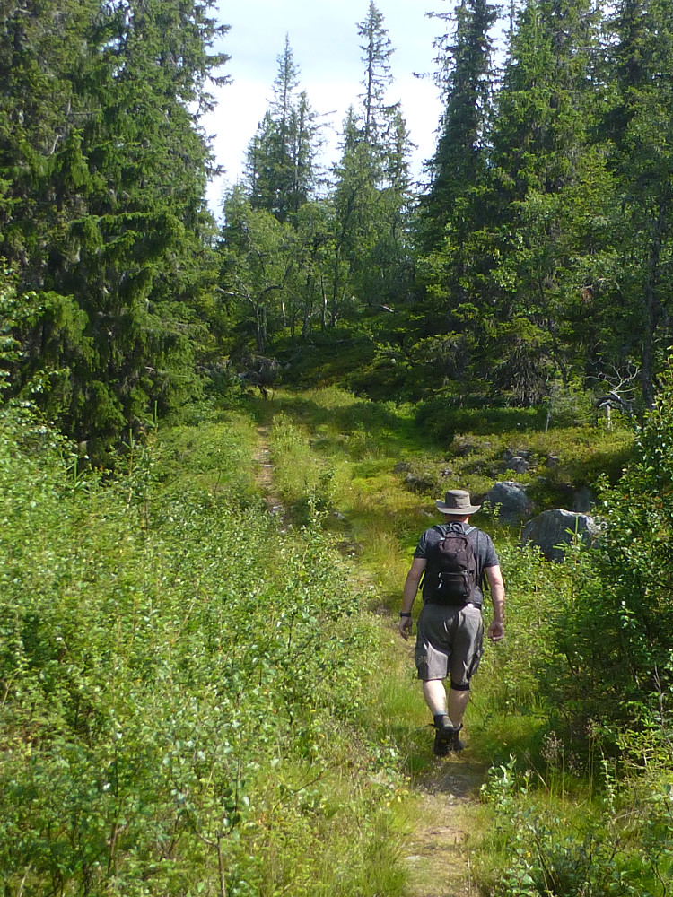 Traktorvegen oppover
