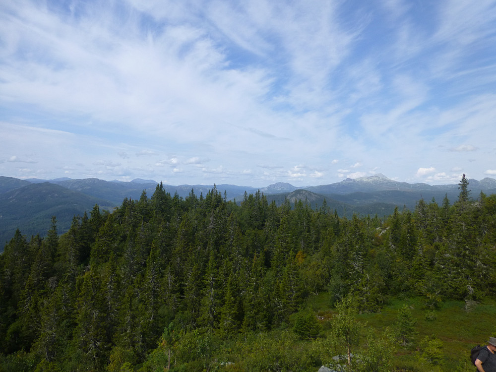 Utsikt til Gaustatoppen, Brattefjell Vindeggen