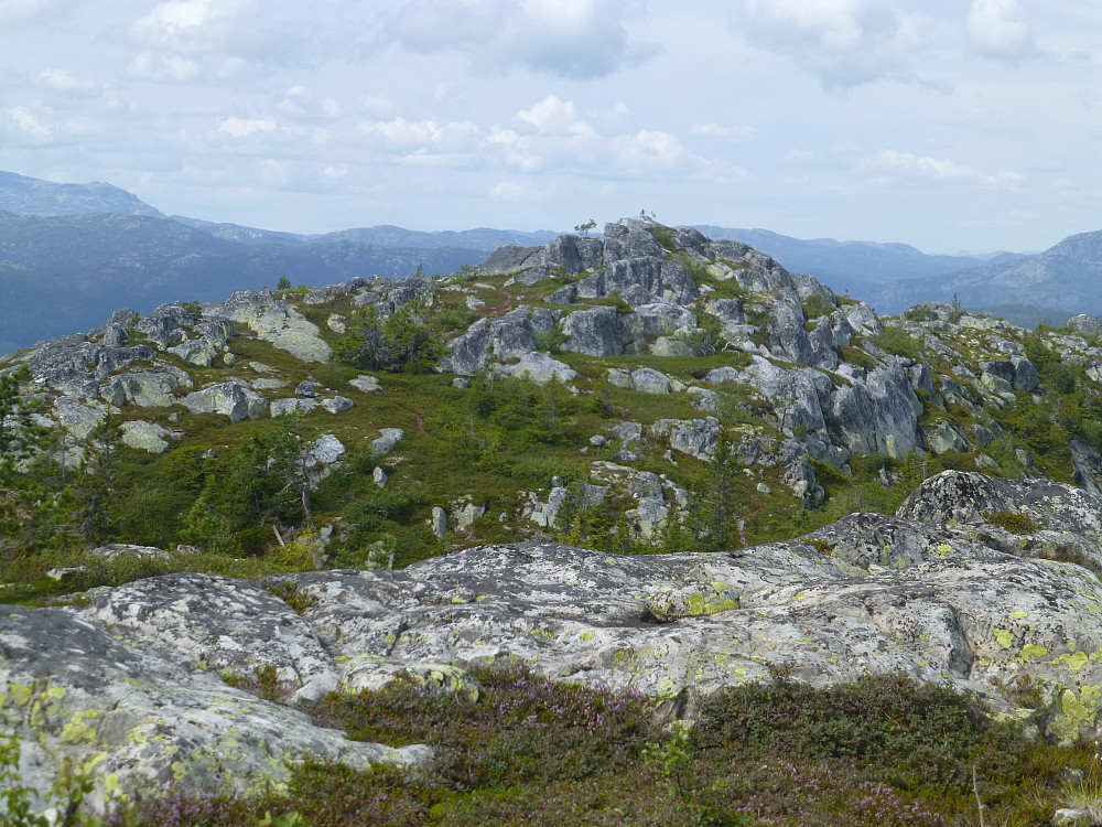 Toppen sett tilbake