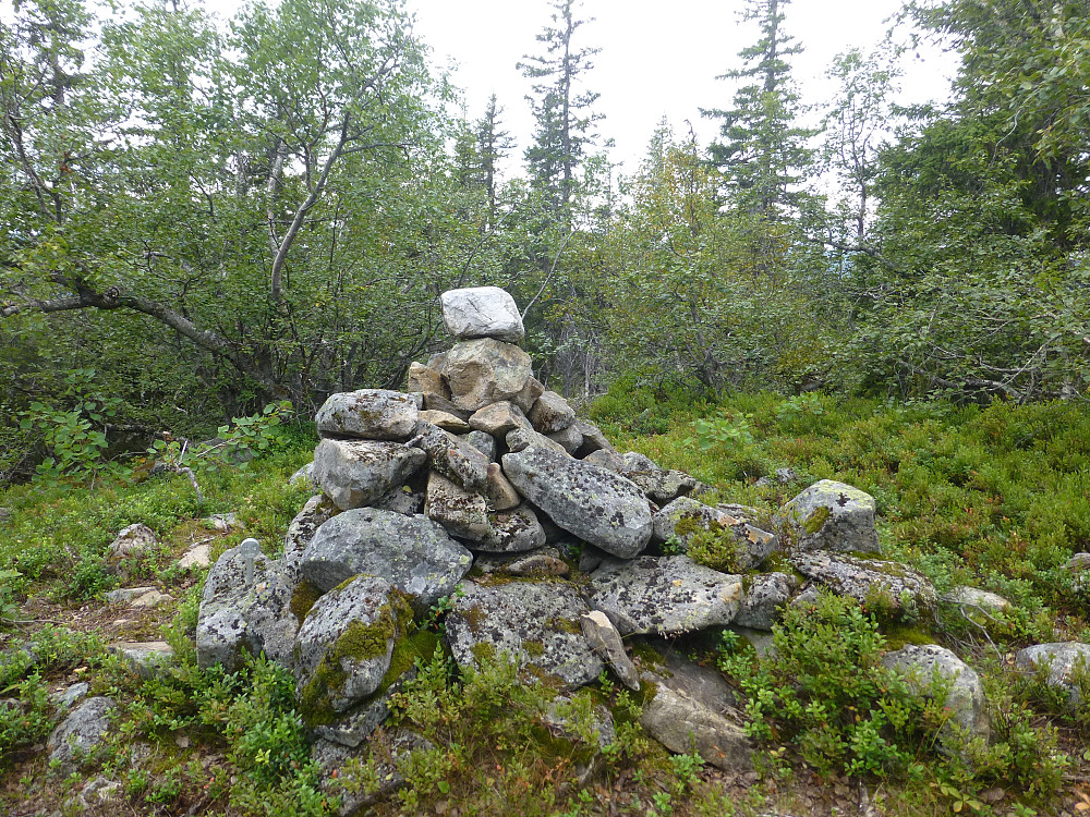 Toppvarden