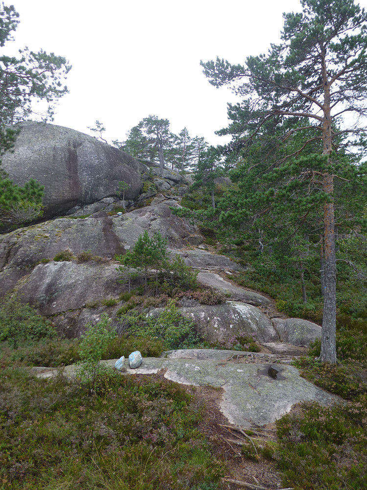 Fin sti oppover ryggen