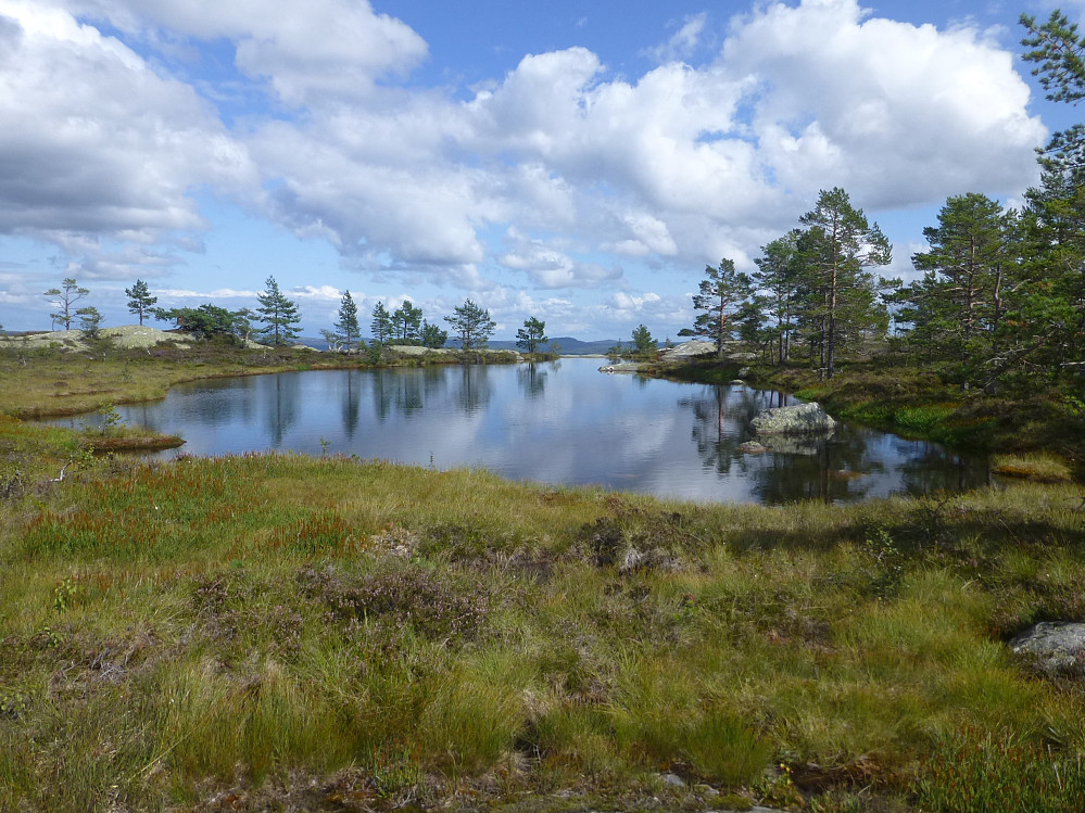 Tjønna under toppen